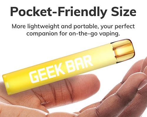 Geek Bar E600 Disposable Kit - Pocket Friendly